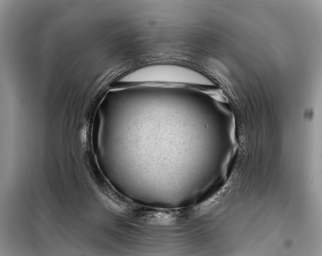 X0000097970166200804071108