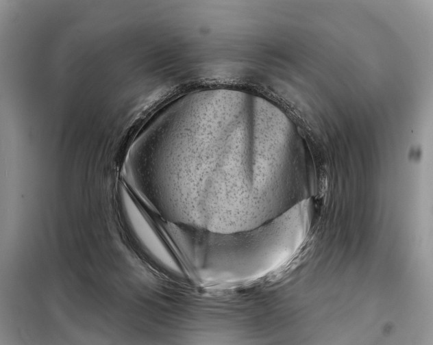 X0000097970168200804071108