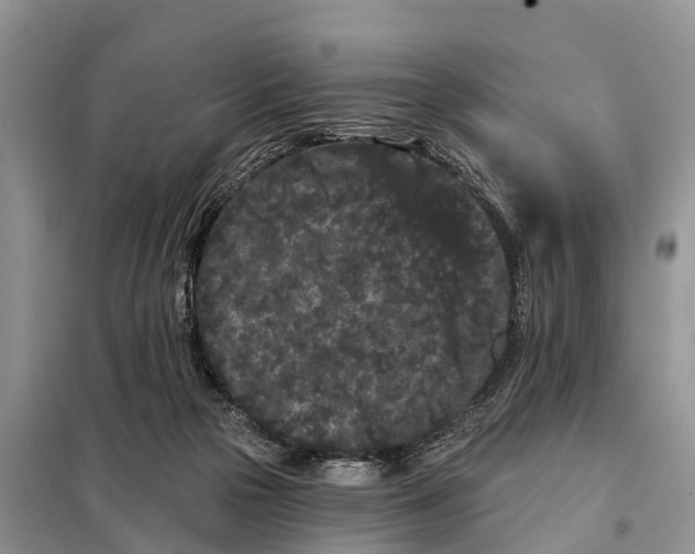 X0000097970169200804071108