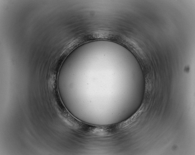 X0000097970171200804071108
