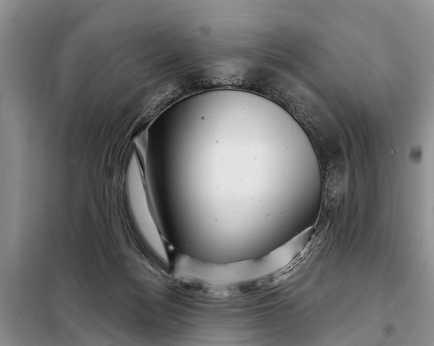 X0000097970172200804071108