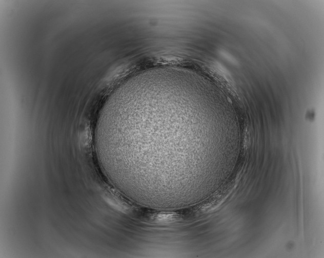 X0000097970173200804071108