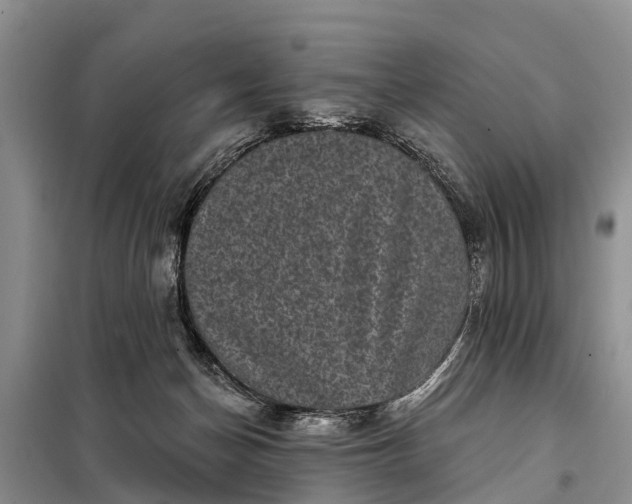 X0000097970174200804071108