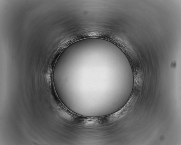 X0000097970175200804071108