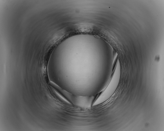 X0000097970176200804071108