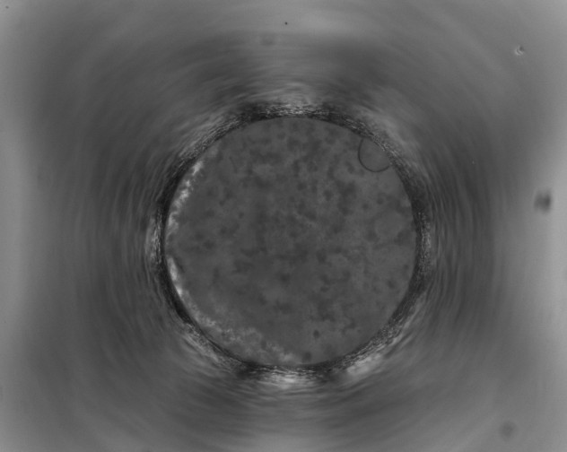 X0000097970177200804071108