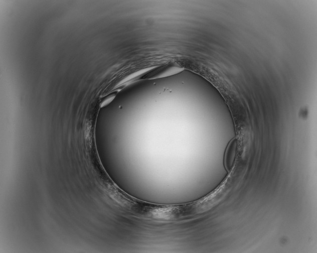 X0000097970178200804071108