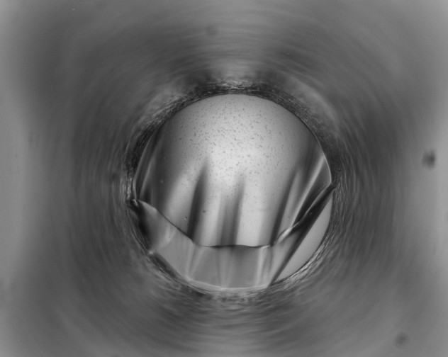 X0000097970180200804071108