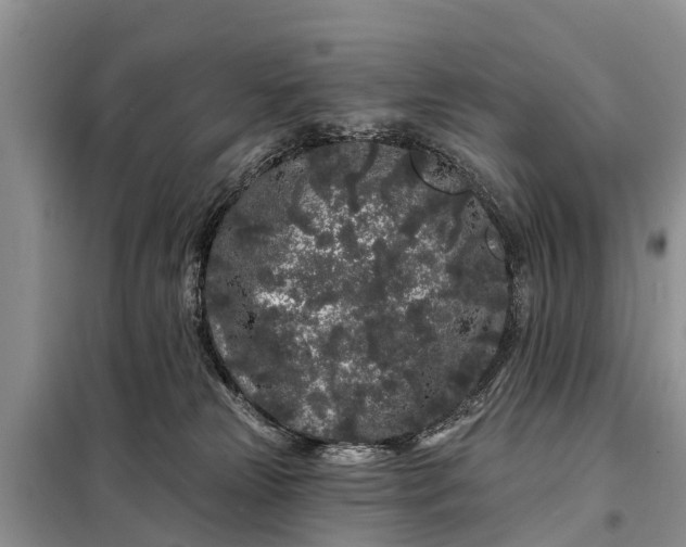 X0000097970181200804071108