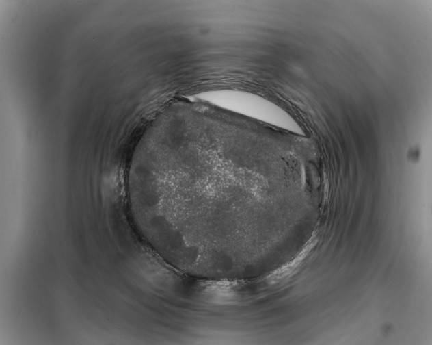 X0000097970182200804071108