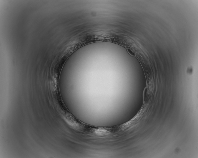 X0000097970183200804071108