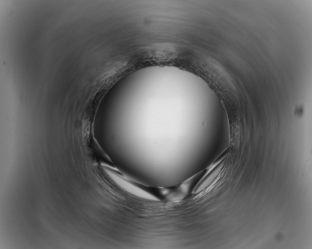 X0000097970184200804071108