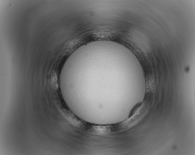 X0000097970187200804071108