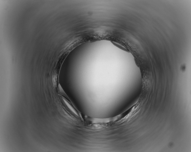 X0000097970188200804071108