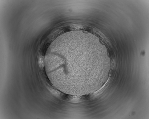 X0000097970191200804071108