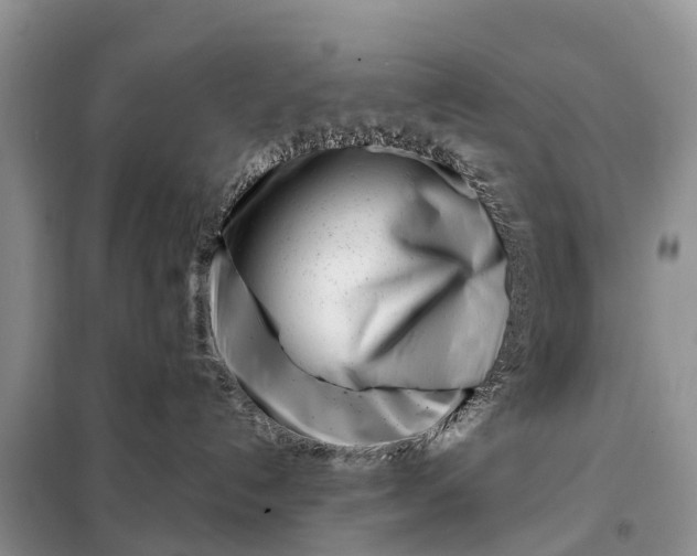 X0000097970192200804071108