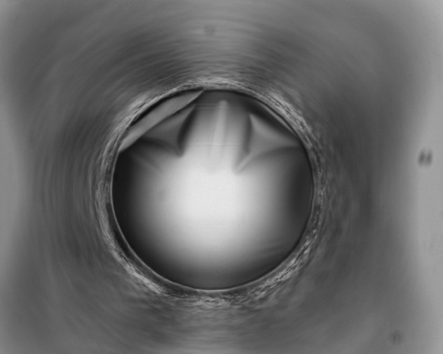 X0000097970193200804071107