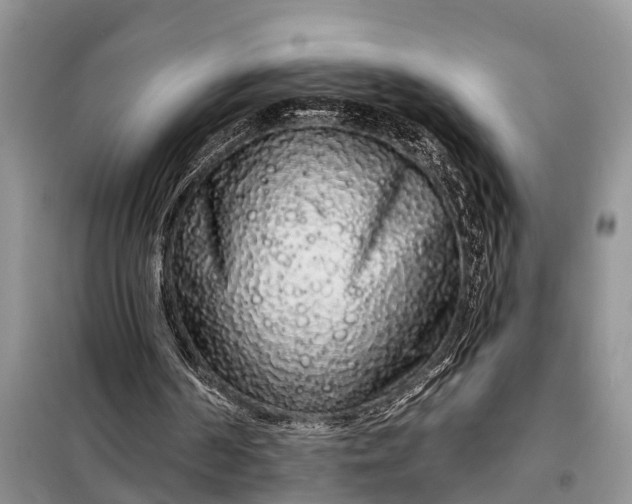 X0000097970194200804071107
