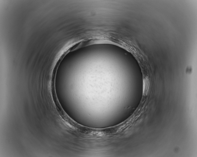 X0000097970195200804071107