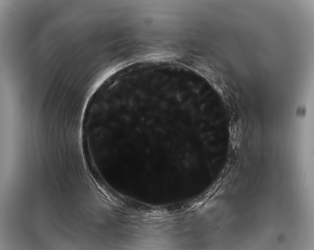 X0000097970196200804071107