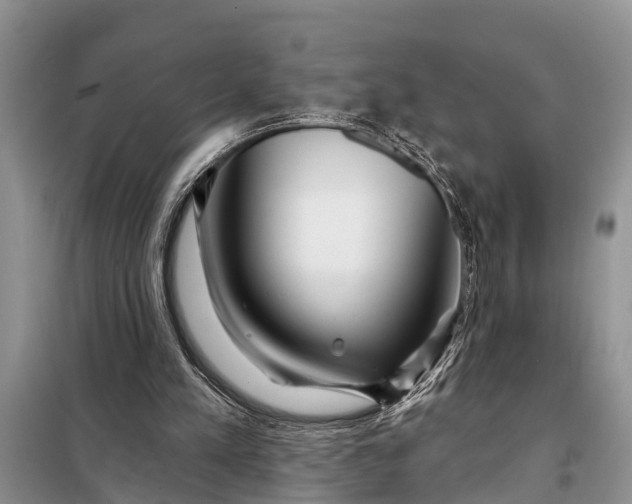 X0000097970197200804071107