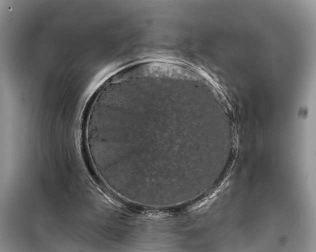 X0000097970199200804071107