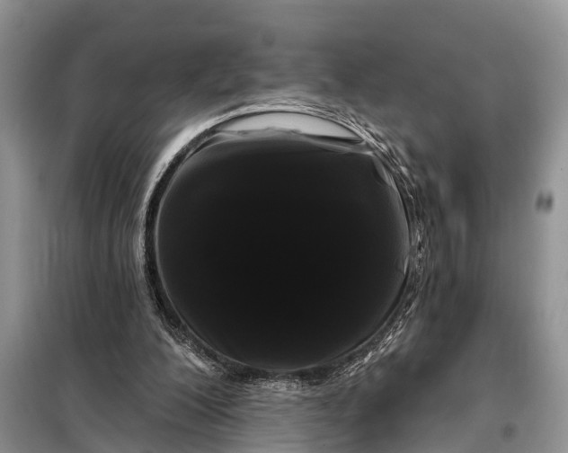 X0000097970200200804071107