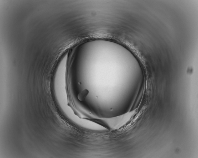 X0000097970201200804071107