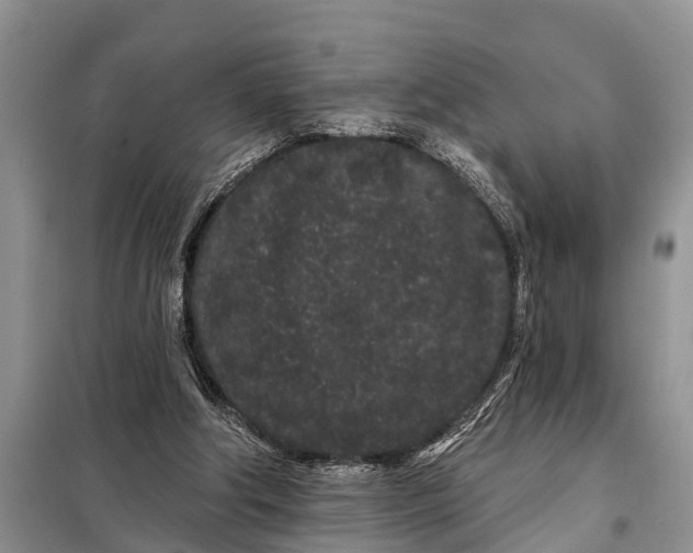 X0000097970202200804071107
