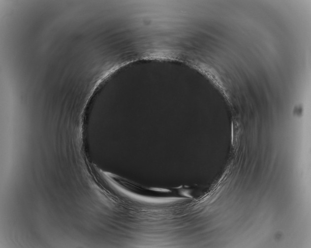 X0000097970204200804071107