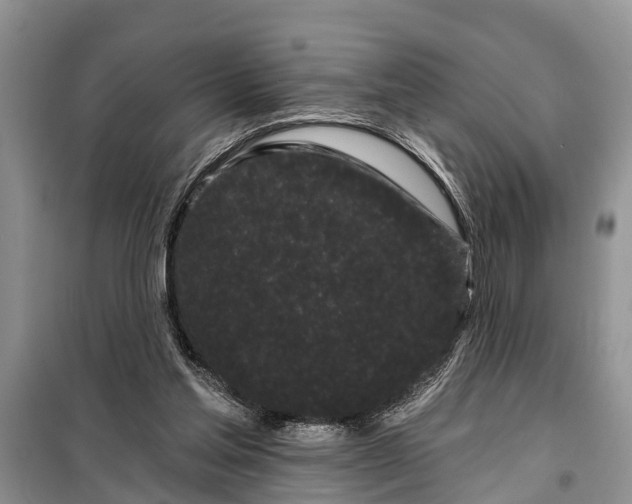 X0000097970205200804071107
