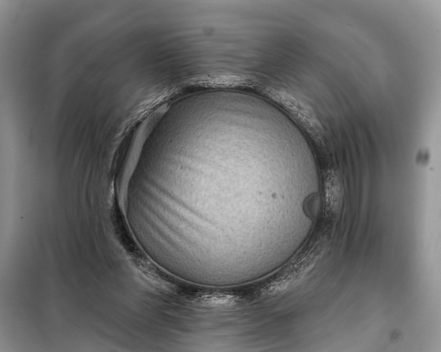 X0000097970206200804071107