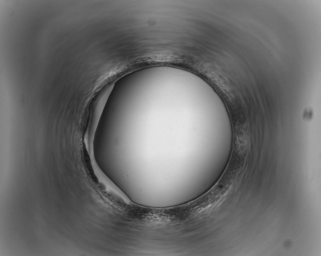 X0000097970207200804071107