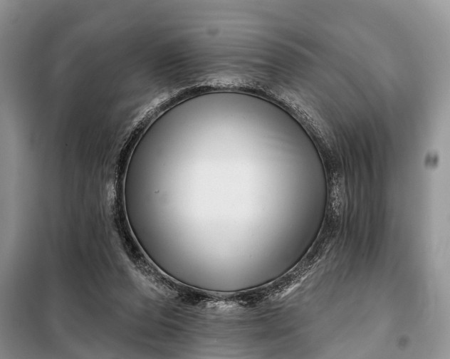 X0000097970208200804071107