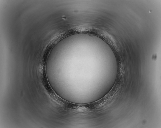 X0000097970210200804071107