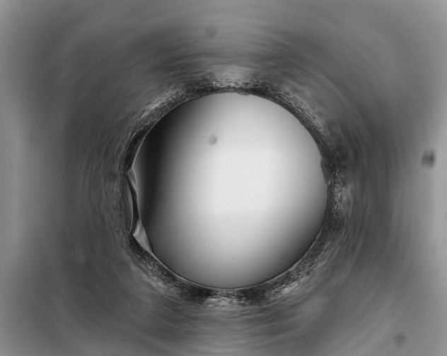 X0000097970211200804071107