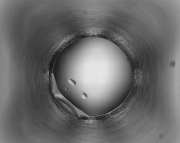 X0000097970212200804071107