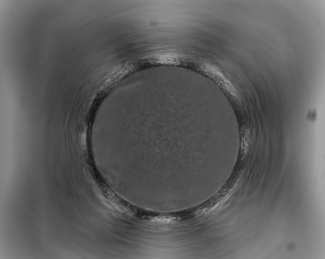 X0000097970213200804071107