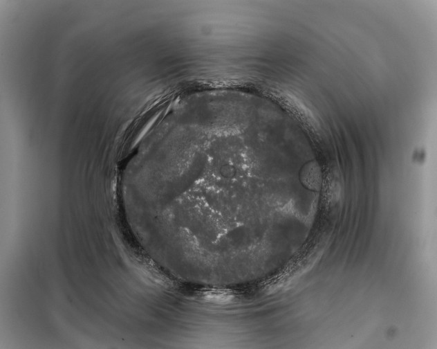 X0000097970214200804071107