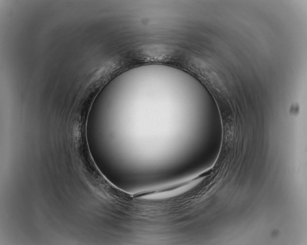 X0000097970215200804071107