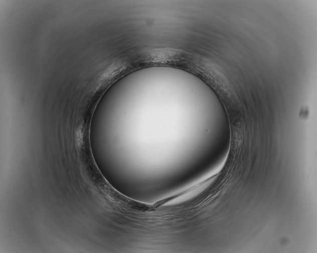 X0000097970216200804071107