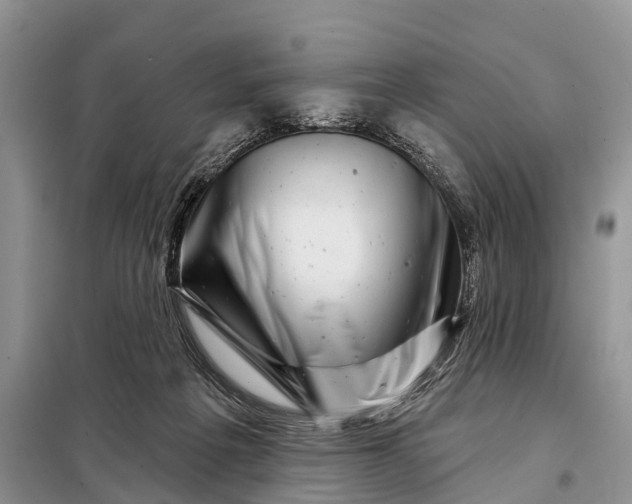 X0000097970217200804071107
