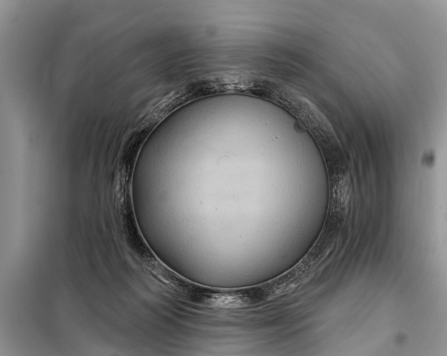 X0000097970218200804071107