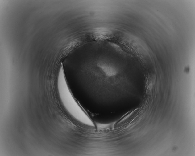 X0000097970219200804071107