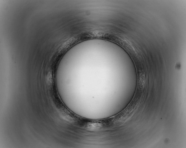 X0000097970220200804071107