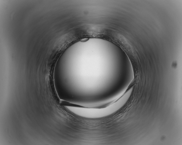 X0000097970221200804071107