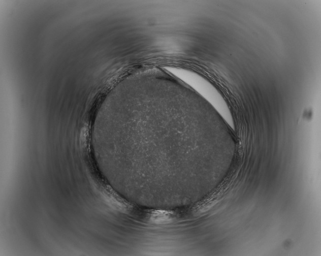 X0000097970222200804071107