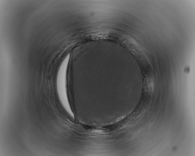 X0000097970224200804071107