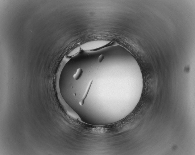 X0000097970225200804071107