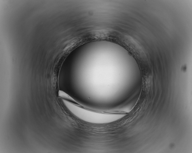 X0000097970228200804071107